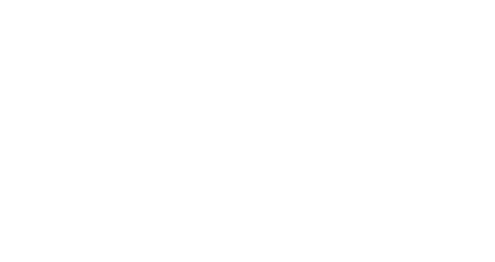 Rogue Equities